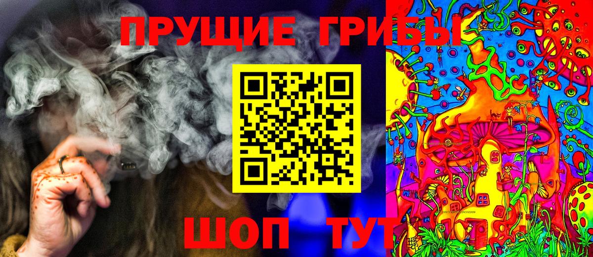 Псилоцибиновые грибы мицелий Холмск